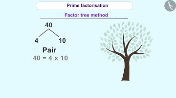 Prime factorization | Part 1/3 | English | Class 6
