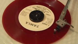 S. Wonder Tribute  SongTo Michael-Never Dreamed Youd Leave In Summer
