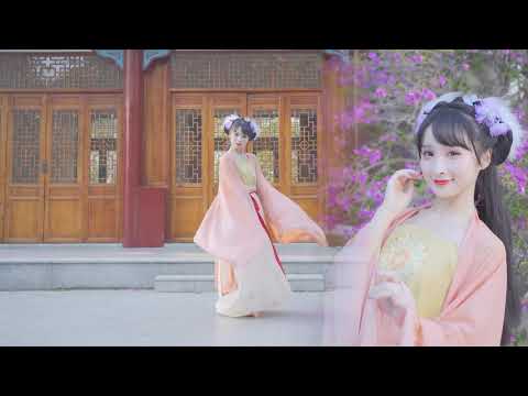 【晓丹】折枝花满衣