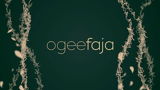 Famous Ogee Faja: Why Do You Need Compression After Liposuction & BBL Net Worth