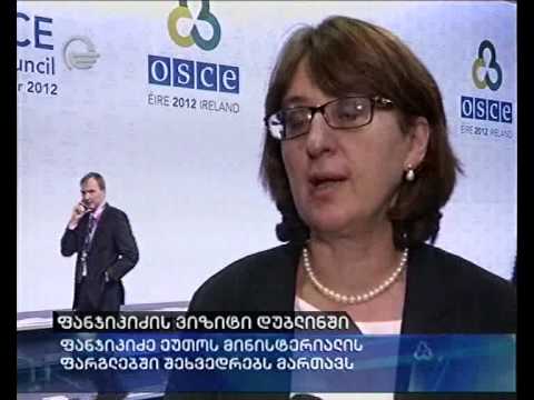 ფანჯიკიძის ვიზიტი დუბლინში