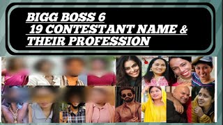 BIGG BOSS MALAYALAM SEASON 6 CONTESTANTS NAME WITH THEIR PROFESSION