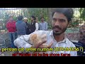 Lucknow nakhas birds market       alexander baby parrots 1500 market