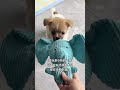 If you can't hold onto time, then let it be within your ability #Dog Indulge in pleasure #Puppy toys