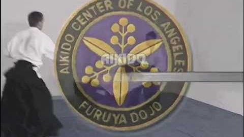 Instructional clip: Aikido Tanto Dori
