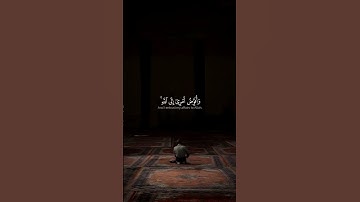 فستذكرون ما أقول لكم | سورة غافر | مشاري راشد العفاسي