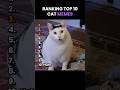Top 10 Cat Memes
