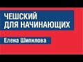 Чешский для начинающих. Елена Шипилова.