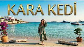 Kara Kedi | Melis Fis ( cover )