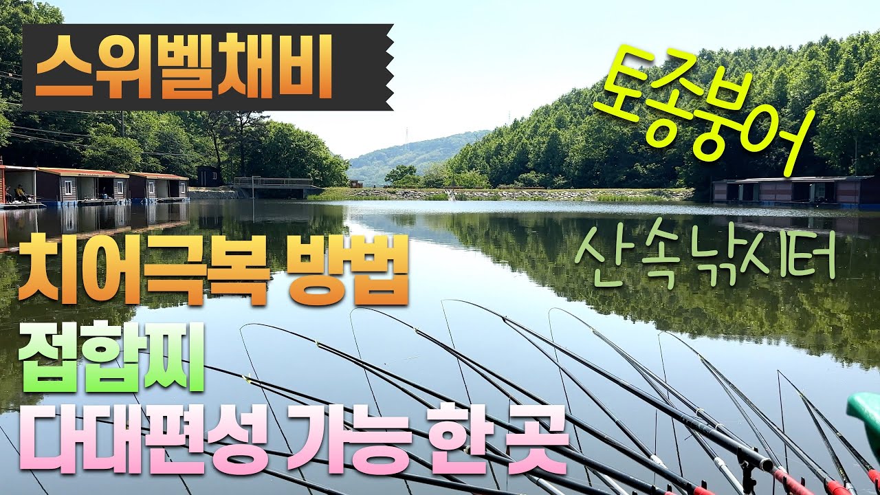 치어극복하기 다대편성 그리고 접합찌-경기 안성 회암낚시터(2024.05.14) #즐낚tv #회암낚시터 #다대편성