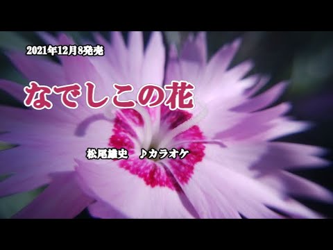 なでしこの花 松尾雄史 カラオケ 21年12月8日発売 Youtube