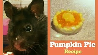 Hamster Pumpkin Pie! | No-Bake Recipe