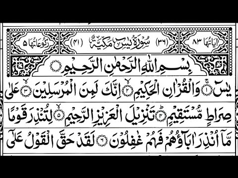 Surah Yaseen & Surah Ar-Rahman | Beautiful Quran Recitation for Peace & Blessings