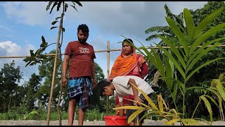 Bangladeshi Village Life Style Vlog Our Simple Village Life Our Village Life