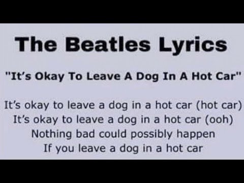 The Beatles - It's Okay to Leave A Dog in a Hot Car