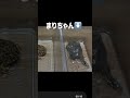 いじめないで