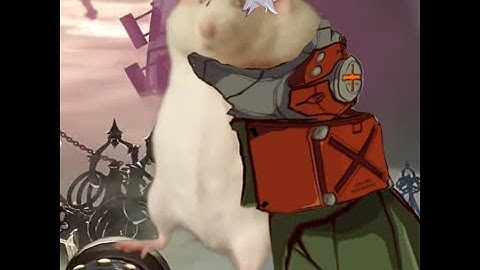 The Potemkin-Chipp matchup