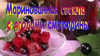 Маринованная свекла с ягодами смородины.Рецепт приготовления свеклы. Маринованная свекла с ягодами смородины.Рецепт приготовления свеклы.