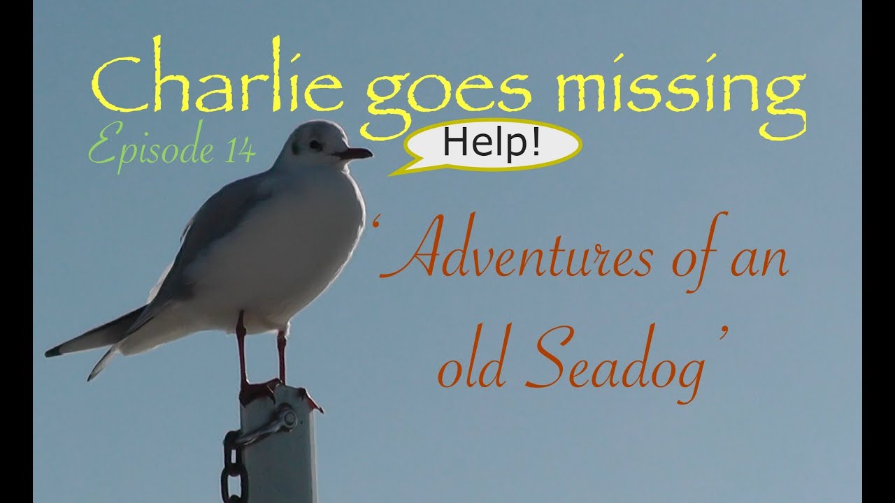 Adventures of an old Seadog Episode 14 'Charlie goes missing'