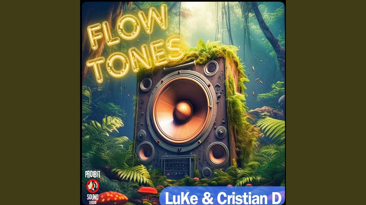 Flow Tones (Original Mix) bekijken op YouTube Flow Tones (Original Mix) bekijken op YouTube