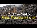 Ялта. Последний снег. Ущелье Уч-Кош