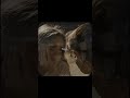Janiye❤️💫 || Aesthetic Lyrics || #viral #trending #lyrics #janiye