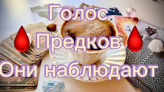 💥Послушайте Свой Род💥