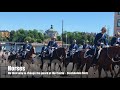 Horses on their way to the Castle Stockholm Sweden