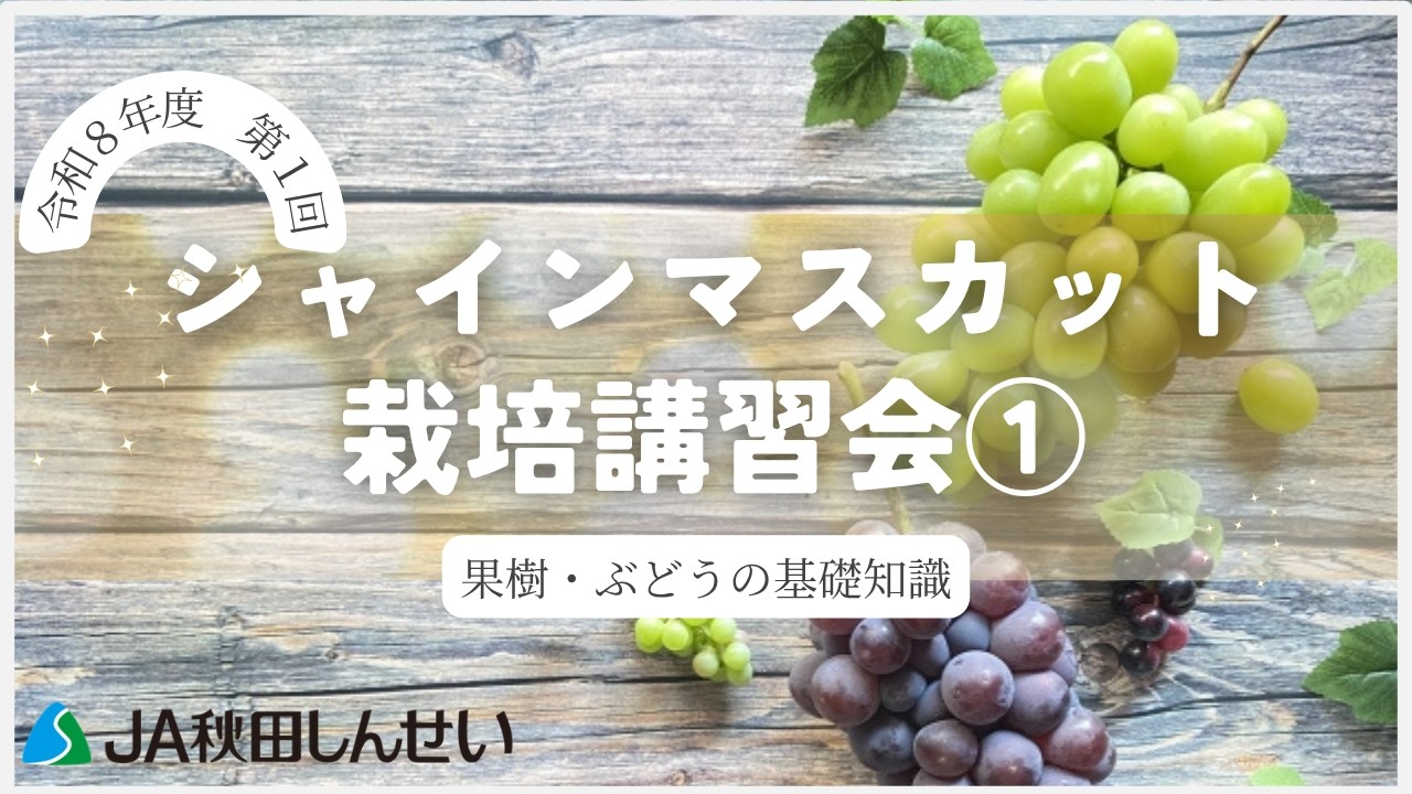 Basic Knowledge of Fruit Trees and Grapes] 1st Shine Muscat