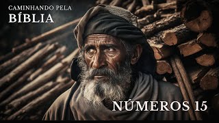 Devocional diário - Leitura da biblia - Números 15 EP 128 #números  #moisés #bíblia