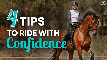 Four Groundwork Secrets I Use Before Riding Any Horse