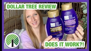 DOLLAR TREE PURPLE SHAMPOO & CONDITIONER REVIEW 🌳 HIT OR MISS?