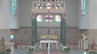 11am Holy Mass • 16th Sunday in Ordinary Time // July 19th