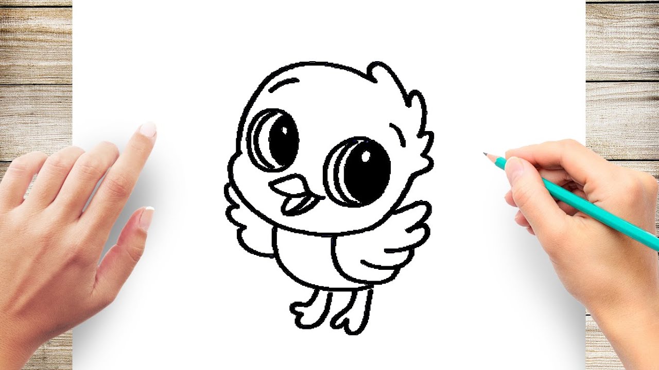 How To Draw Baby Bird Step By Step Youtube