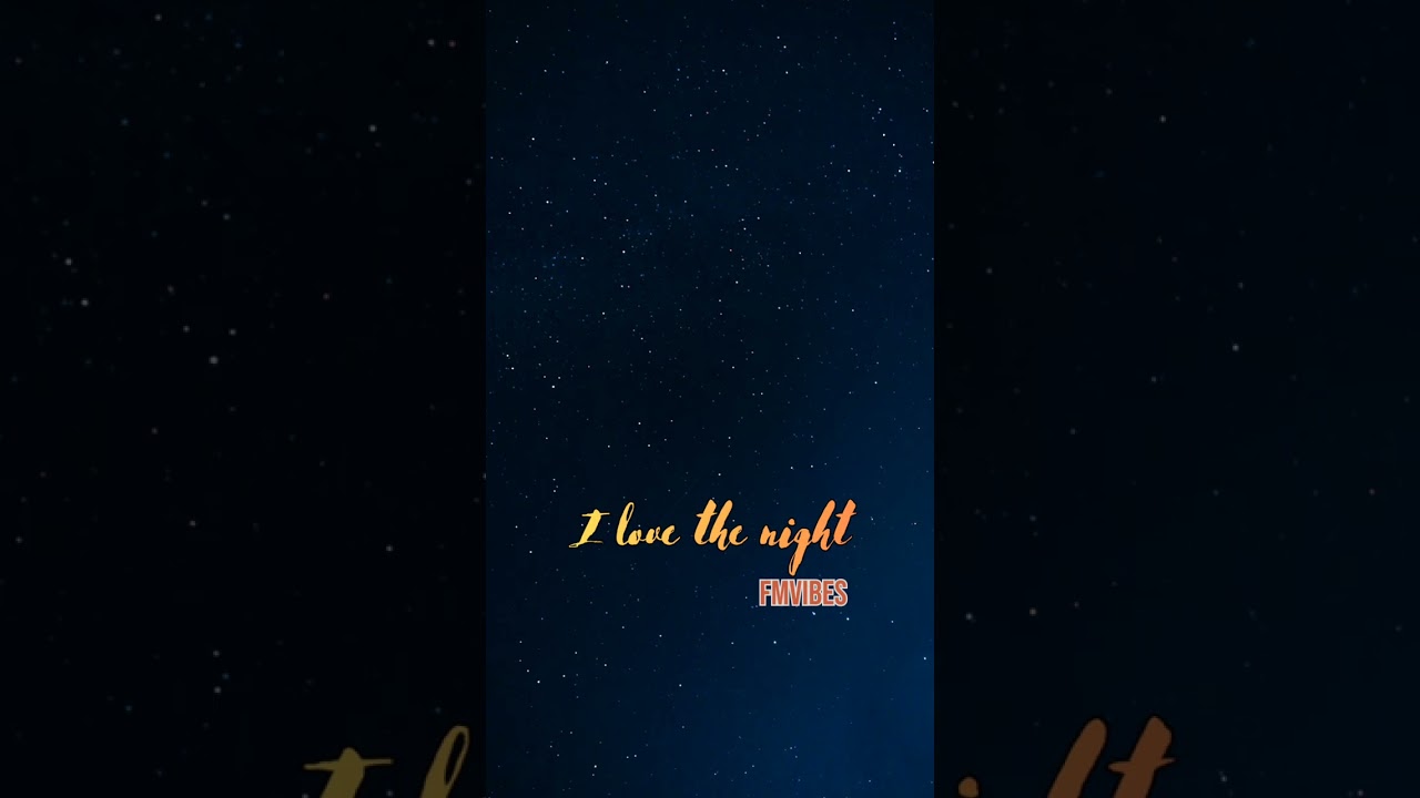 I love the night (FMvibes Version)