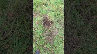 Quick Site Prep Video For Those Who Missed The Live Stream