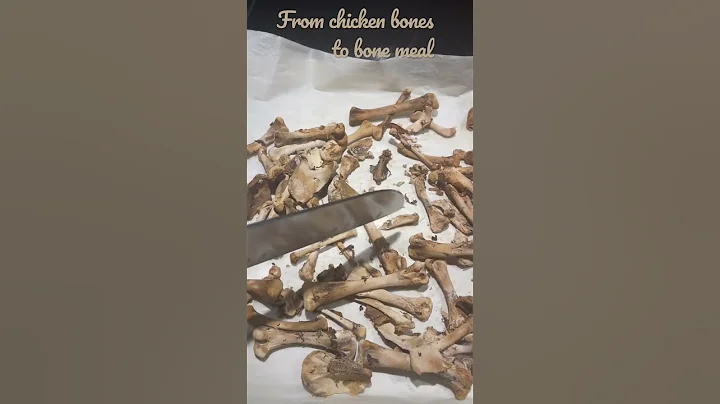 Bones meal from boiled chicken bones dehydrated in 400* oven for 30 min.  Cool, then pulverize.