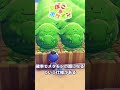 【ぽこ あ ポケモン】知らないと損する「ラッキーのうえ木」のランダム要素 #ぽこあポケモン #pokopia