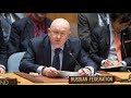 Заседание Совбеза ООН по Сирии