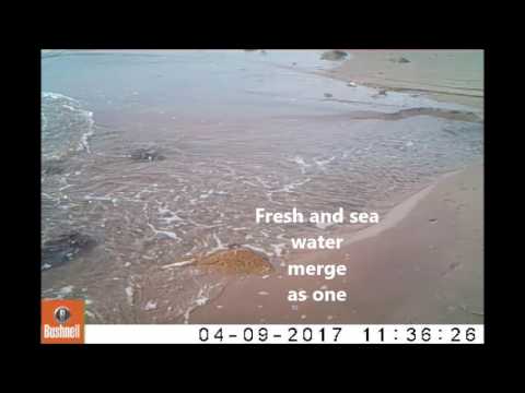 ebb and flow ebb and flow