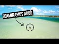 ¡Playa y perritos 🐶! ¿Qué hacer en Holbox🏝️? [Parte 2] | MPV en México 🇲🇽