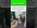 Nutria genial