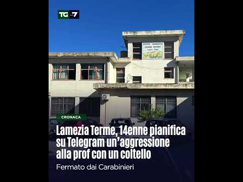 Video Lamezia Terme, 14enne pianifica su Telegram unaggressione alla prof con un coltello
