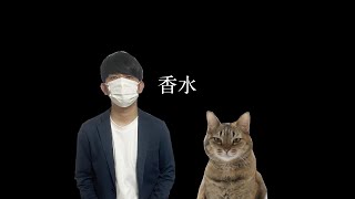 香水 / 瑛人を歌うと興奮する猫【興奮する歌15選】