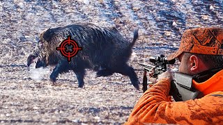 KARDA MUHTEŞEM YABAN DOMUZU AVI, TOP WILD BOAR HUNTING IN WINTER, HOG HUNTS, PIG #hunting #wildboar