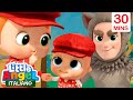 Storia di Cappuccetto Rosso | Cartoni Animati con Gianni Piccino - Little Angel Italiano