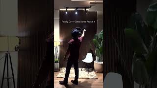 Grrrr Getting Peace In Chaos Afterglow Is Roaring Out Loud Straight From Rmak Studio