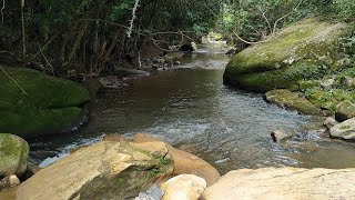 Sitio em Alfredo Wagner SC 11.5 hectares [ R$600.000] com cachoeira