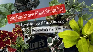 Big Box Store Plant Shopping Lowes Plants Local Plant Nursery Shopping Houseplant Finds and Updates by Grow Folds 1,157 views 3 days ago 1 hour, 11 minutes