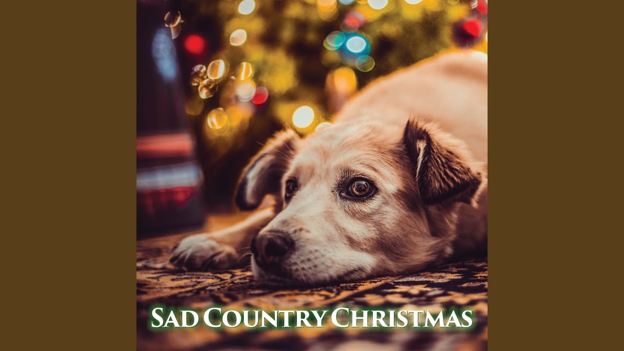 ️ KERSTMIS ZIJN DE MOOISTE DAGEN - YouTube